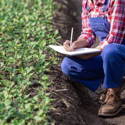 asesoramiento-tecnico