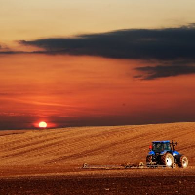 gestion integral de fincas